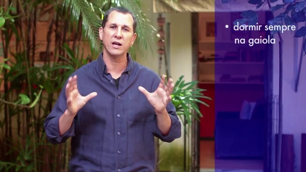 Cuidados com a sua Calopsita